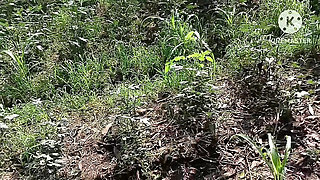 Telugu Aunty Fucks Farm Owner in Outdoor Field - Indian Couple HD