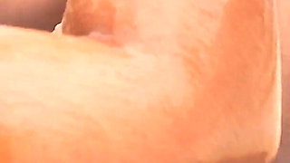 Temptation by the Pool: Sweets, Abs, and Vein Worship