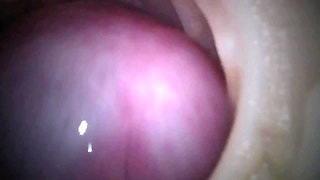 Two Cocks for a Horny Holiday