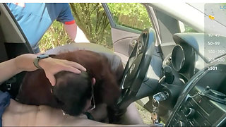 Extreme Cruising Session .Wild Outdoor Encounter