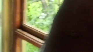 Untamed in the Treetops