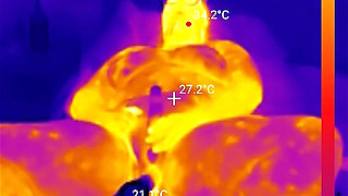 First BBC Sex Machine Fuck: Oiled up BBW Cums Hard on Your Massive Cock, 15 Min Ride and Cum Countdown, POV Thermal