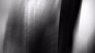 Amateur beauty strips from lingerie and toys