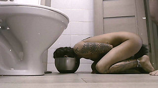 Pavlovian Bowl Training