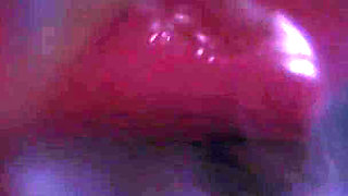 B014 Man Shrunk and Trapped in Woman's Vagina Pussy Swallowing