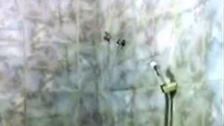 BBW Indian Girl's Shower Webcam Show