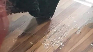 The Slave Luci Has Sprayed the Whole Place on Me - Now She Can Clean