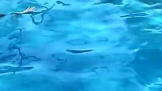 I Ass at the Pool