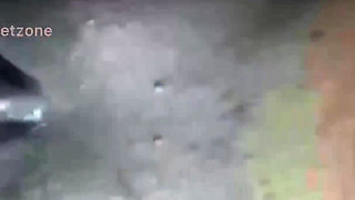 Ebony Babe Daizy Cooper Sucks and Rides a Massive Black Cock