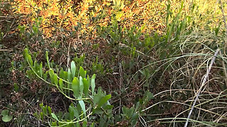 Sucking on the Beach