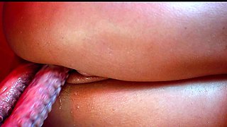 Hentaied - The Ancient Ways Trailer