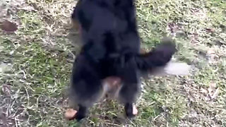 After merging him, he paid me in kind