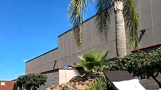 Stream Started Tanning