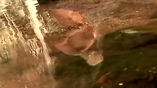 Nikki Hunter Blonde MILF Alone in Forest Gets Found and BBC Creampie